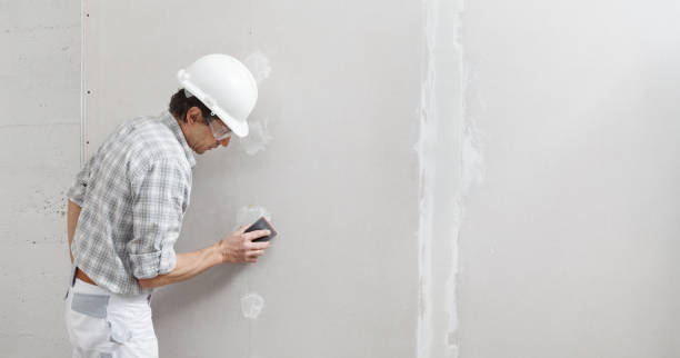 Best Drywall Patching  in Honesdale, PA